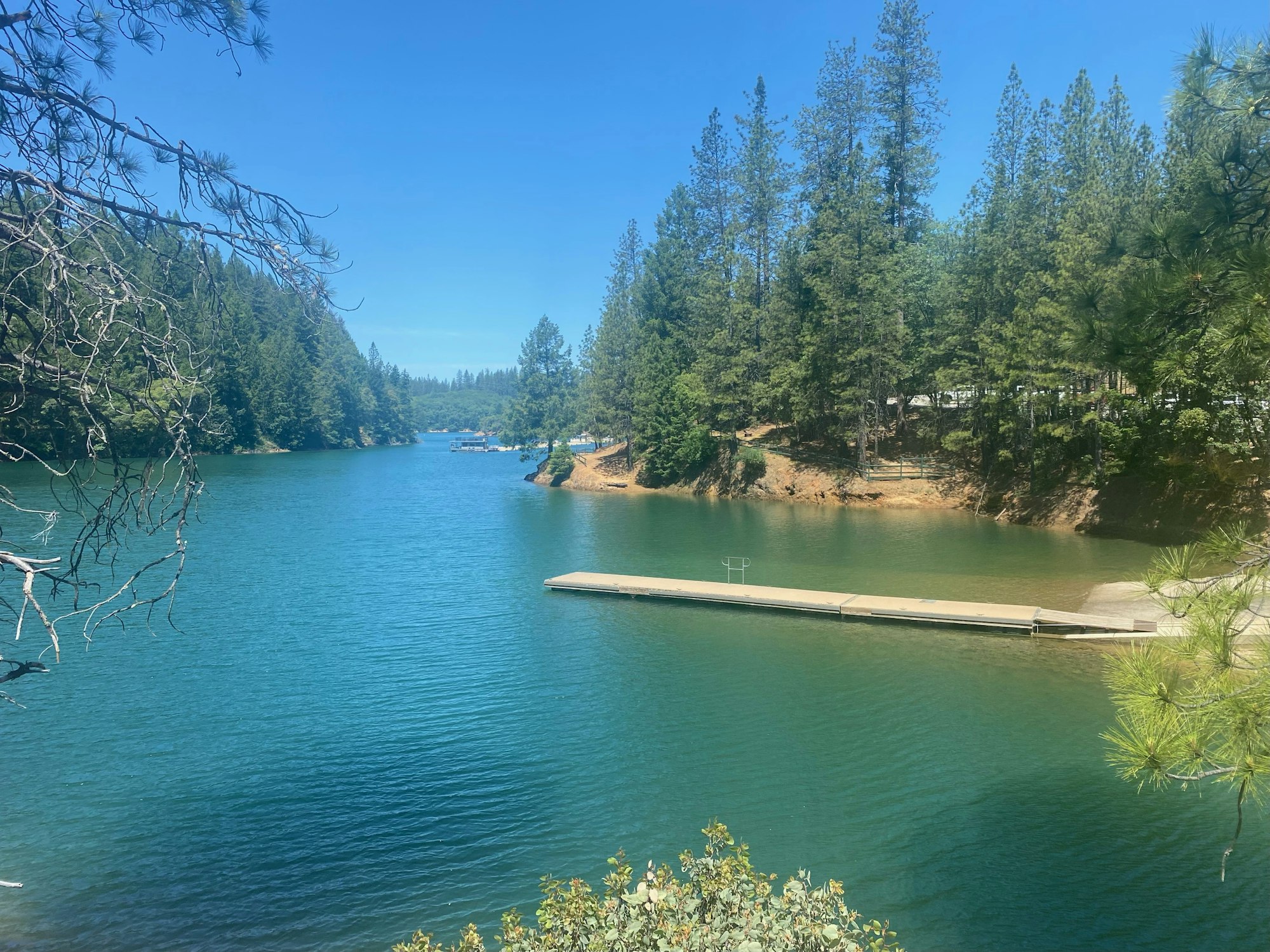 A serene lake with a pier, surrounded by lush trees under a clear blue sky.