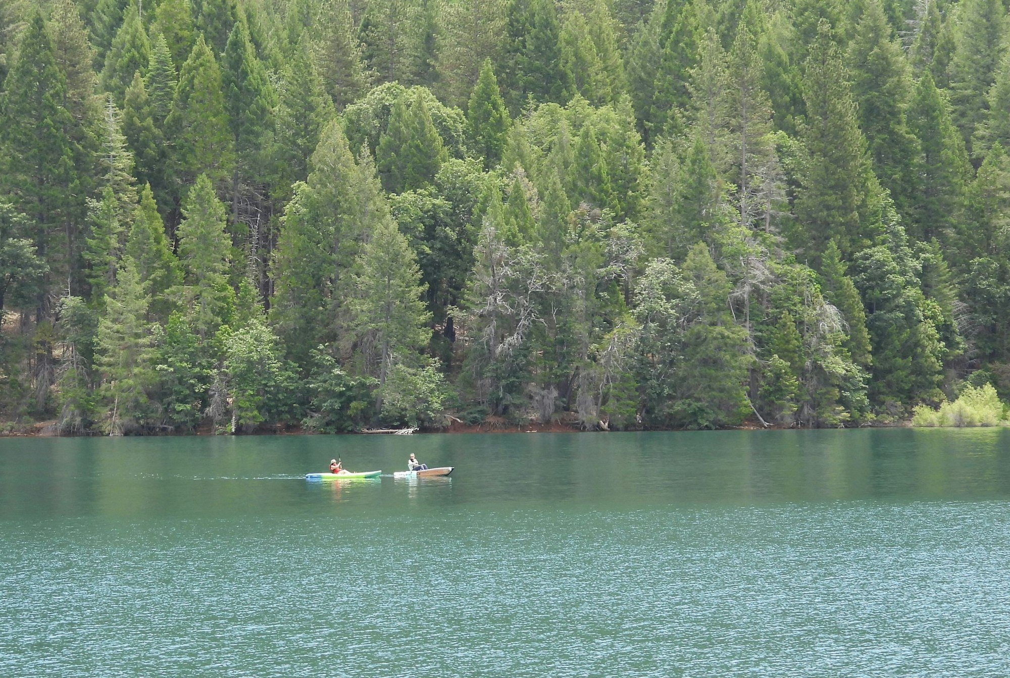 May contain: plant, tree, fir, vegetation, boat, transportation, vehicle, person, lake, nature, outdoors, and water