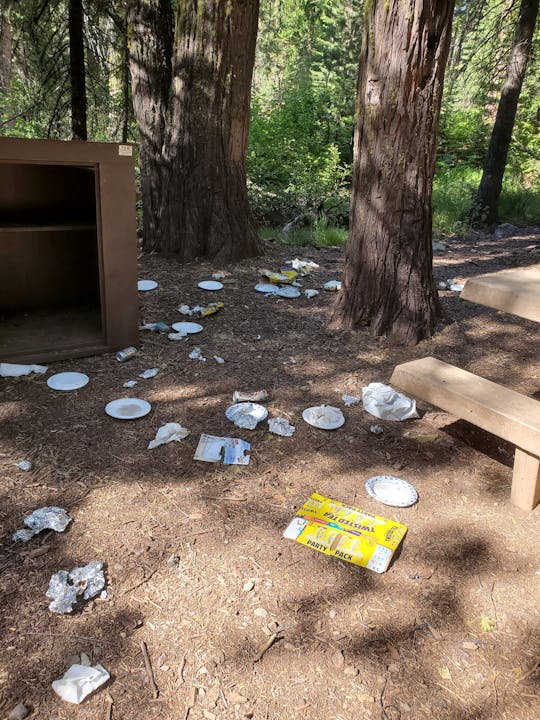 A forest ground littered with trash including paper plates and napkins.