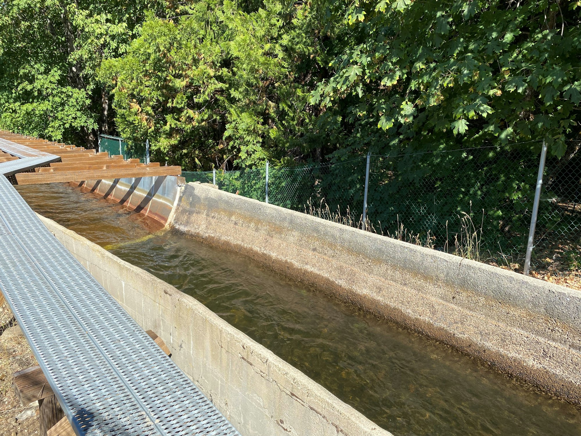 A fish ladder next to a metal walkway with trees and chain-link fence in the background.