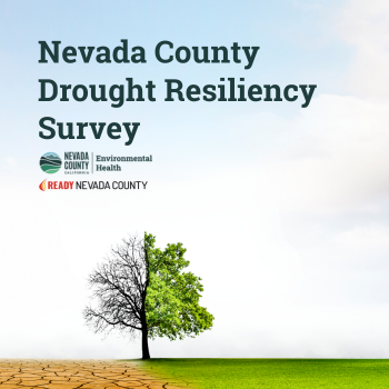 Nevada County Drought Resiliency Survey with a tree on arid and lush land.