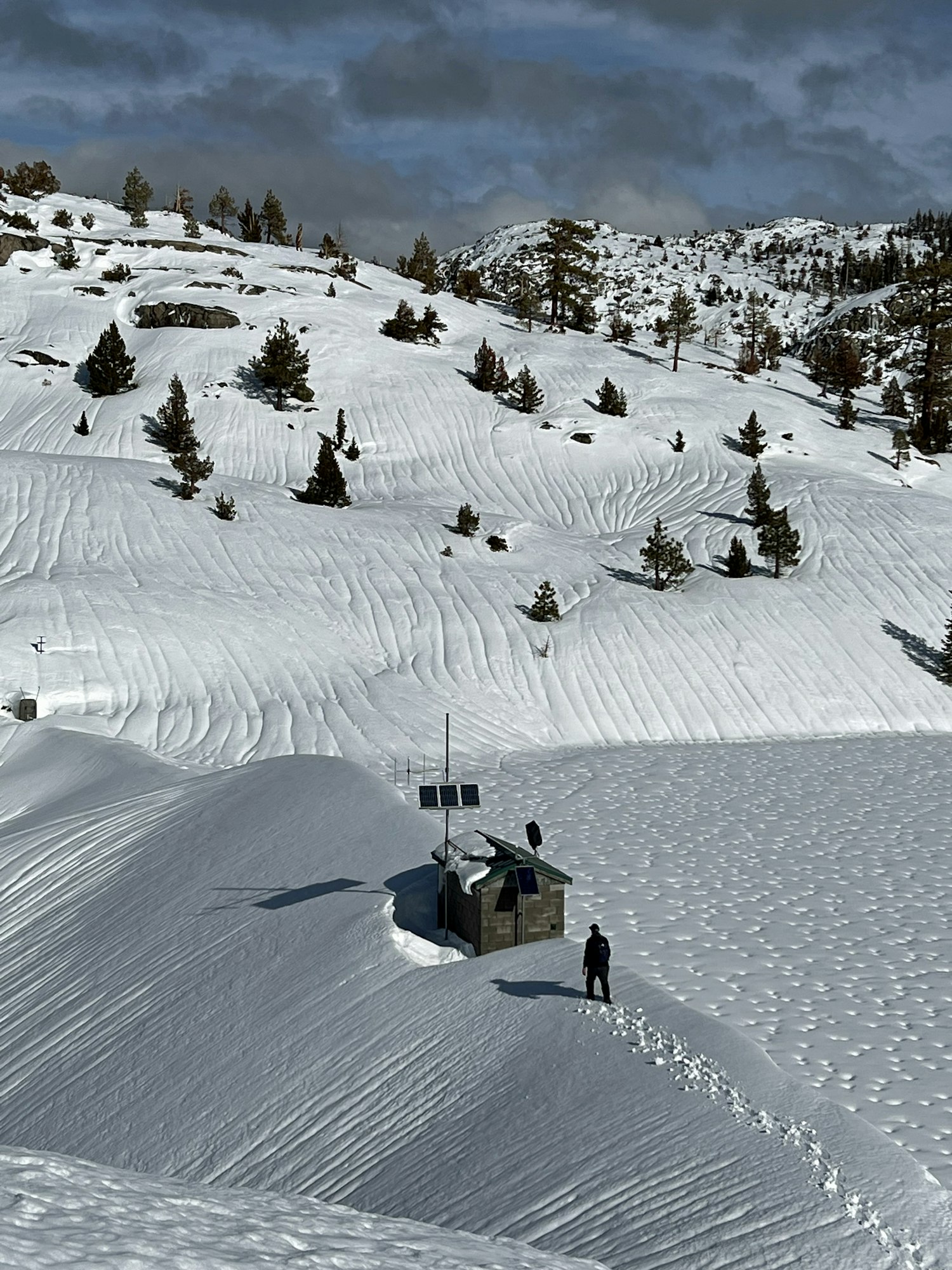 May contain: slope, piste, nature, outdoors, sport, snow, tree, plant, fir, and person