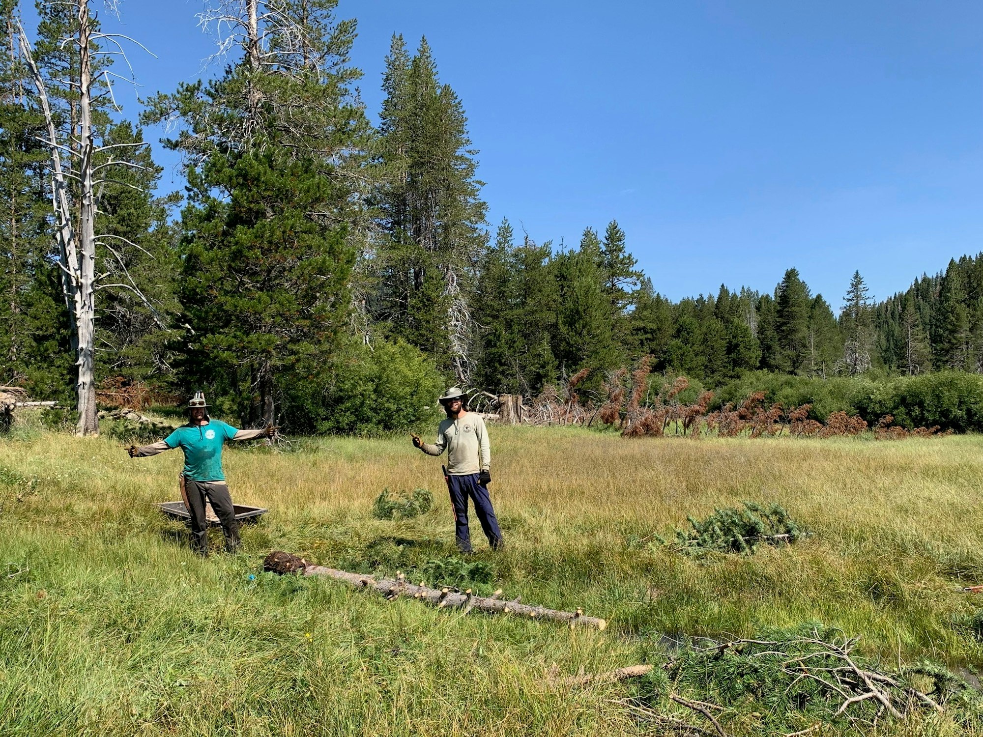 Two people standing in a grassy field with trees in the background, involved in outdoor work, possibly landscaping or conservation.