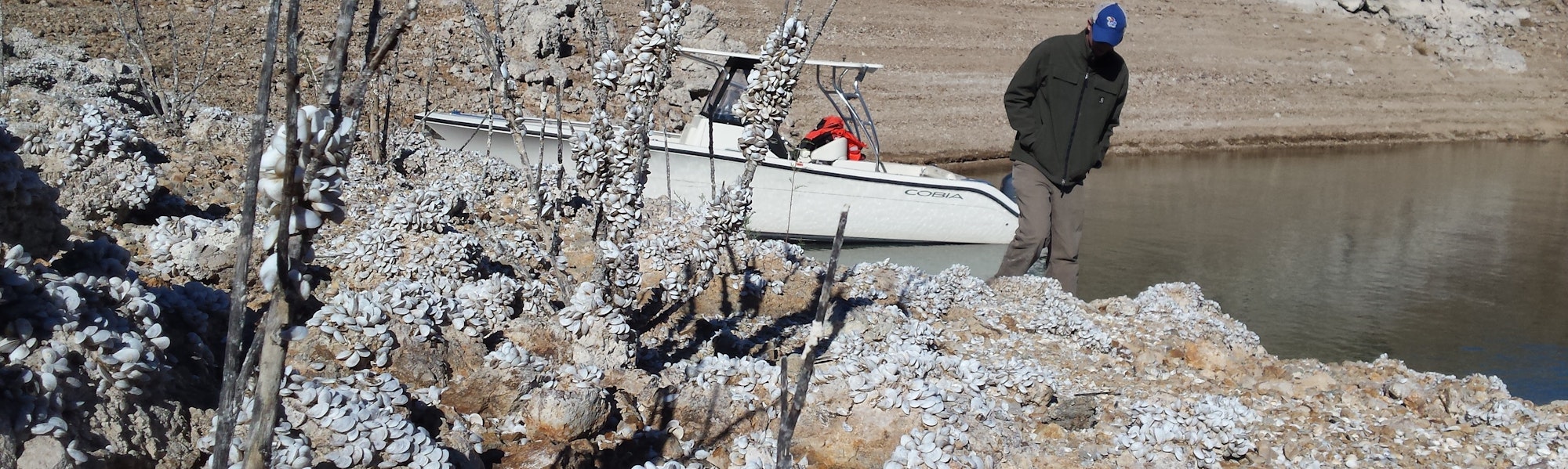 A boat by a rocky shore covered with white shells, one person standing nearby, clear skies.