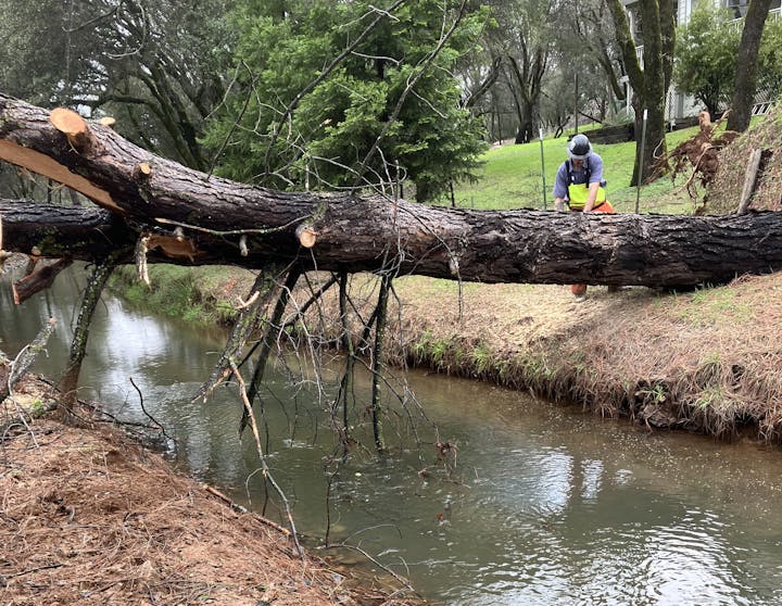 A person with a chainsaw cutting a fallen tree over a creek.