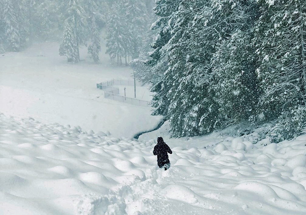 May contain: nature, outdoors, person, winter, blizzard, snow, and storm