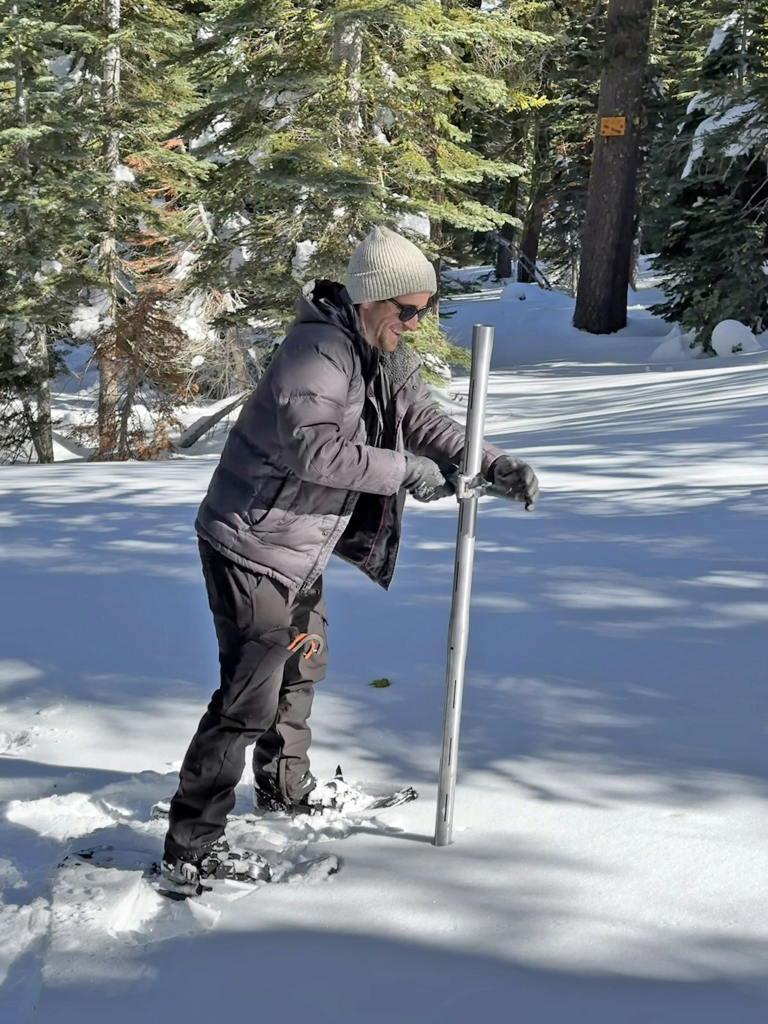 A person with snowshoes holding a long pole in a snowy forest.