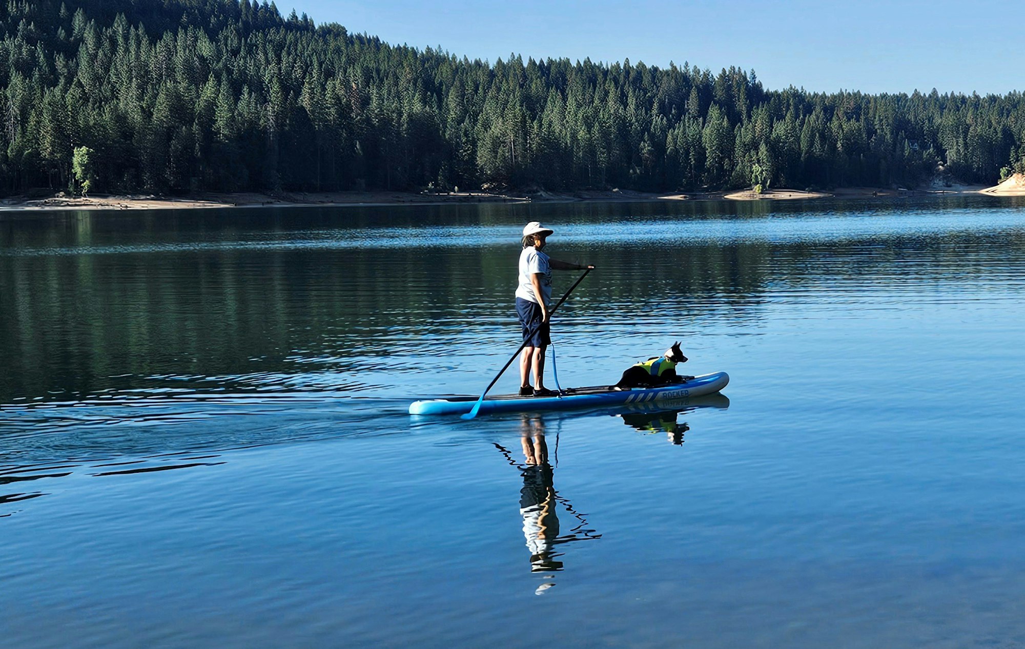 Person paddleboarding with a dog on a calm lake surrounded by forest.