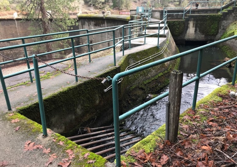 May contain: handrail, outdoors, railing, water, and person
