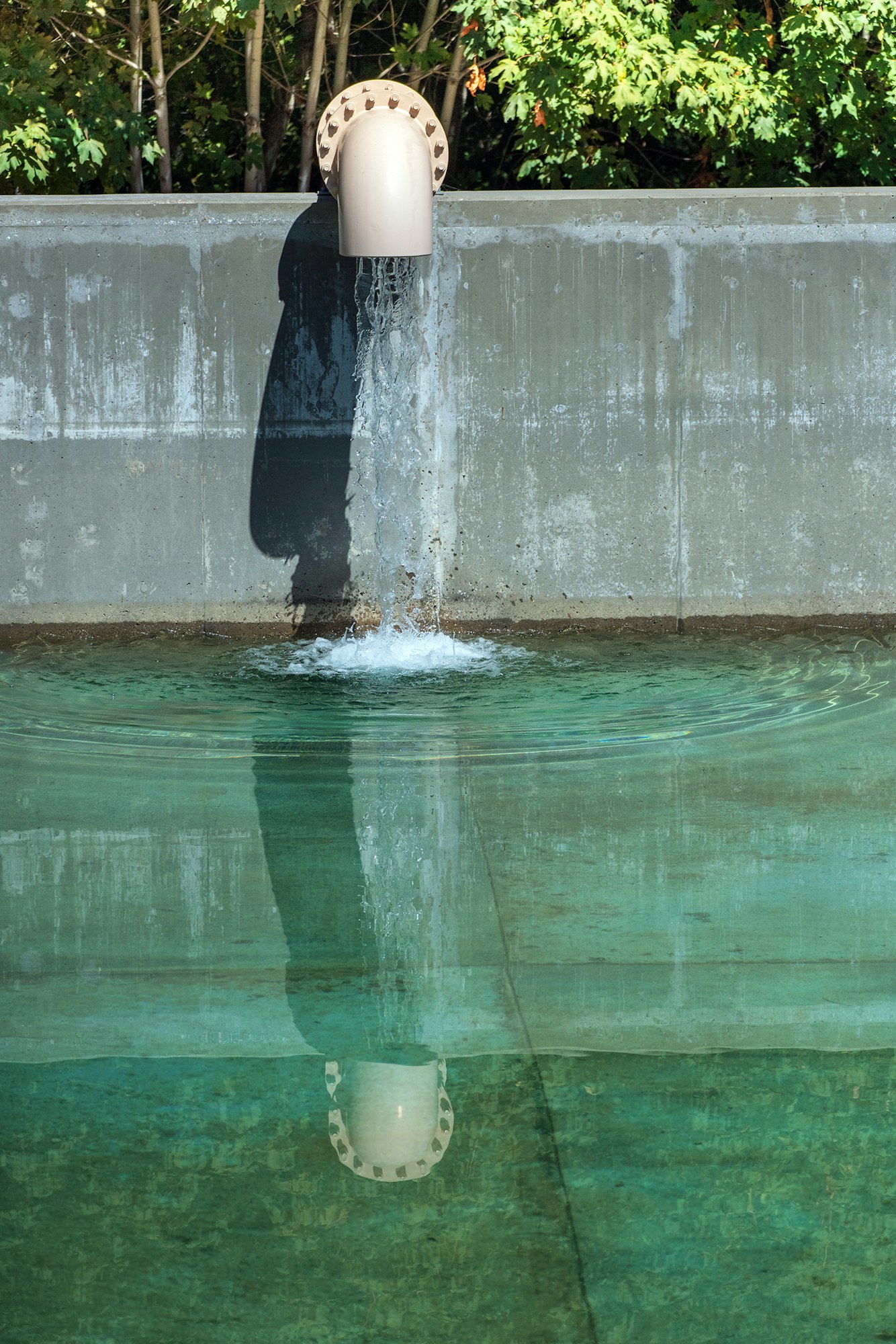 A water spout pours into a shallow pool, creating ripples and reflections, surrounded by green foliage.
