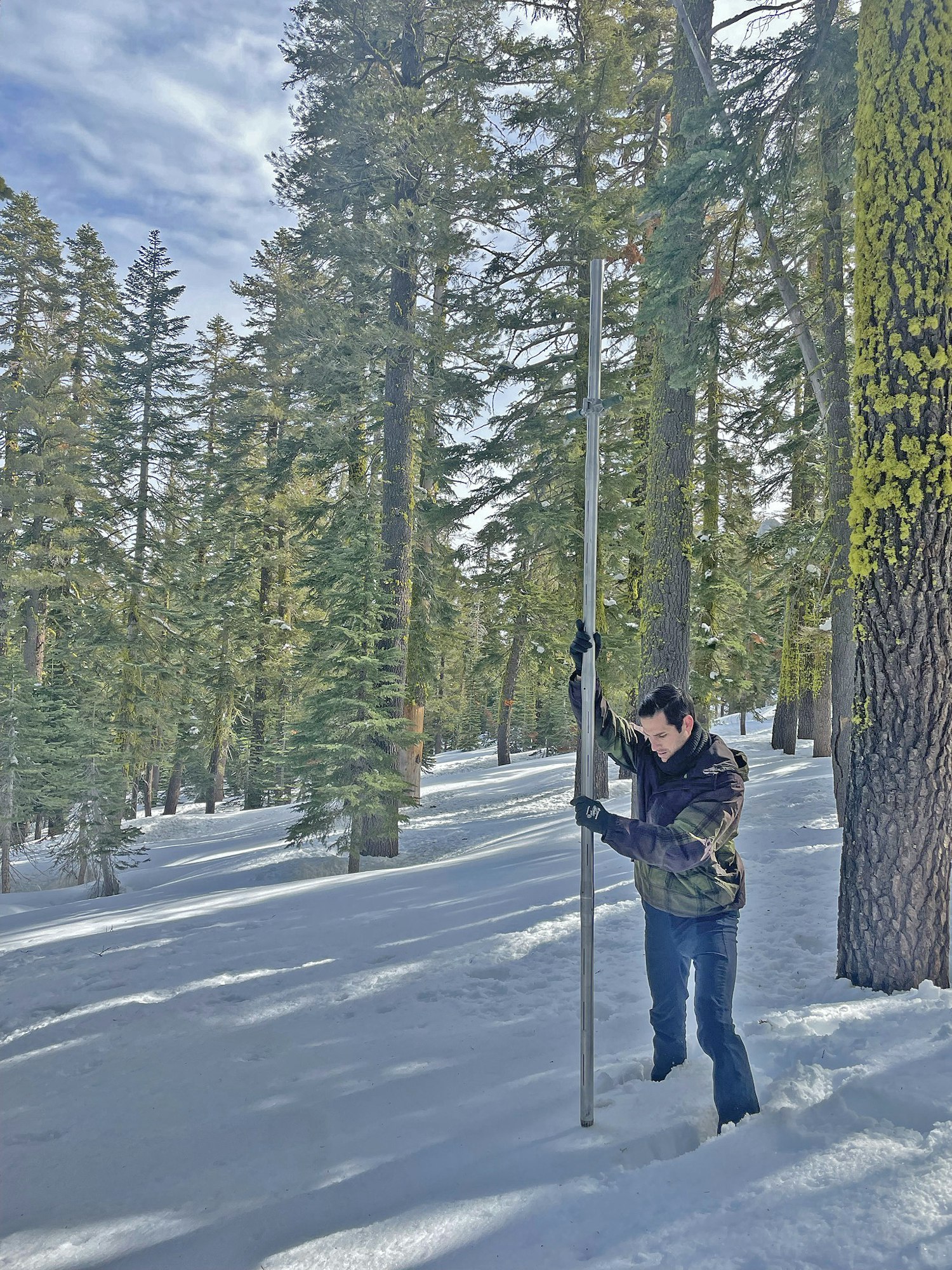 May contain: tree, plant, person, human, fir, abies, outdoors, and nature