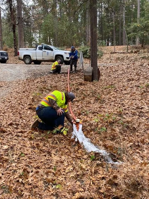Workers in safety gear are managing water flow in a wooded area filled with fallen leaves, with a truck visible nearby.