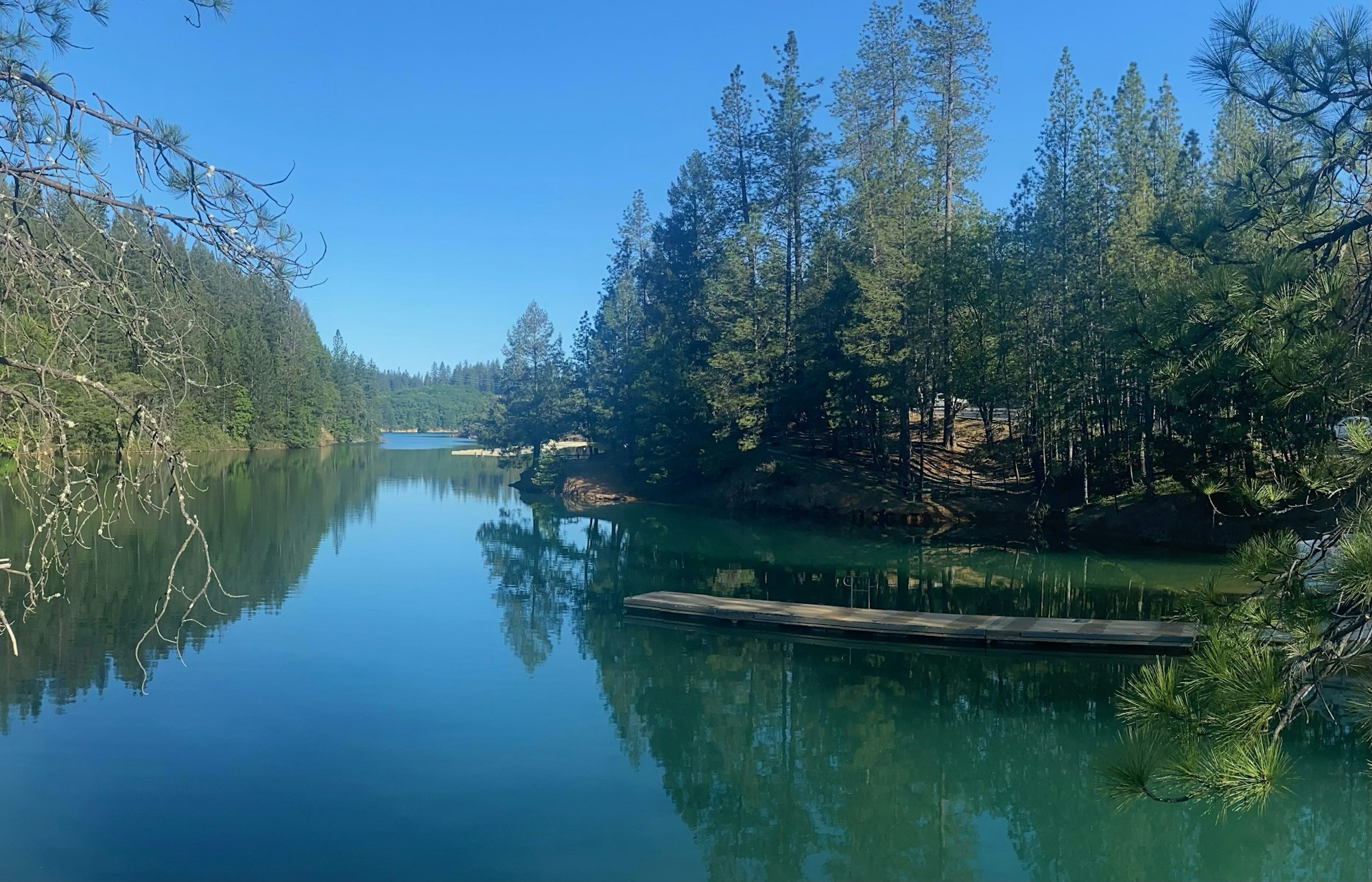 A serene lake surrounded by pine trees with a floating dock. Clear skies reflect on the calm water.