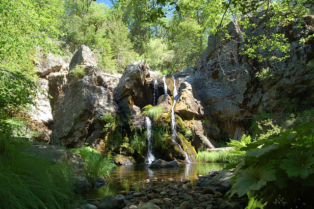 May contain: plant, vegetation, nature, outdoors, land, rainforest, tree, water, stream, creek, jungle, wilderness, rock, scenery, woodland, and moss