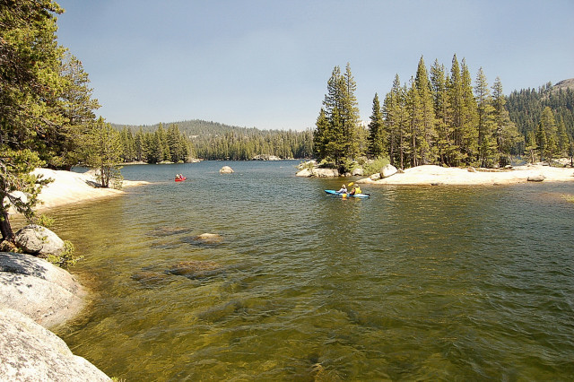 May contain: plant, tree, water, conifer, boat, transportation, vehicle, person, fir, and outdoors