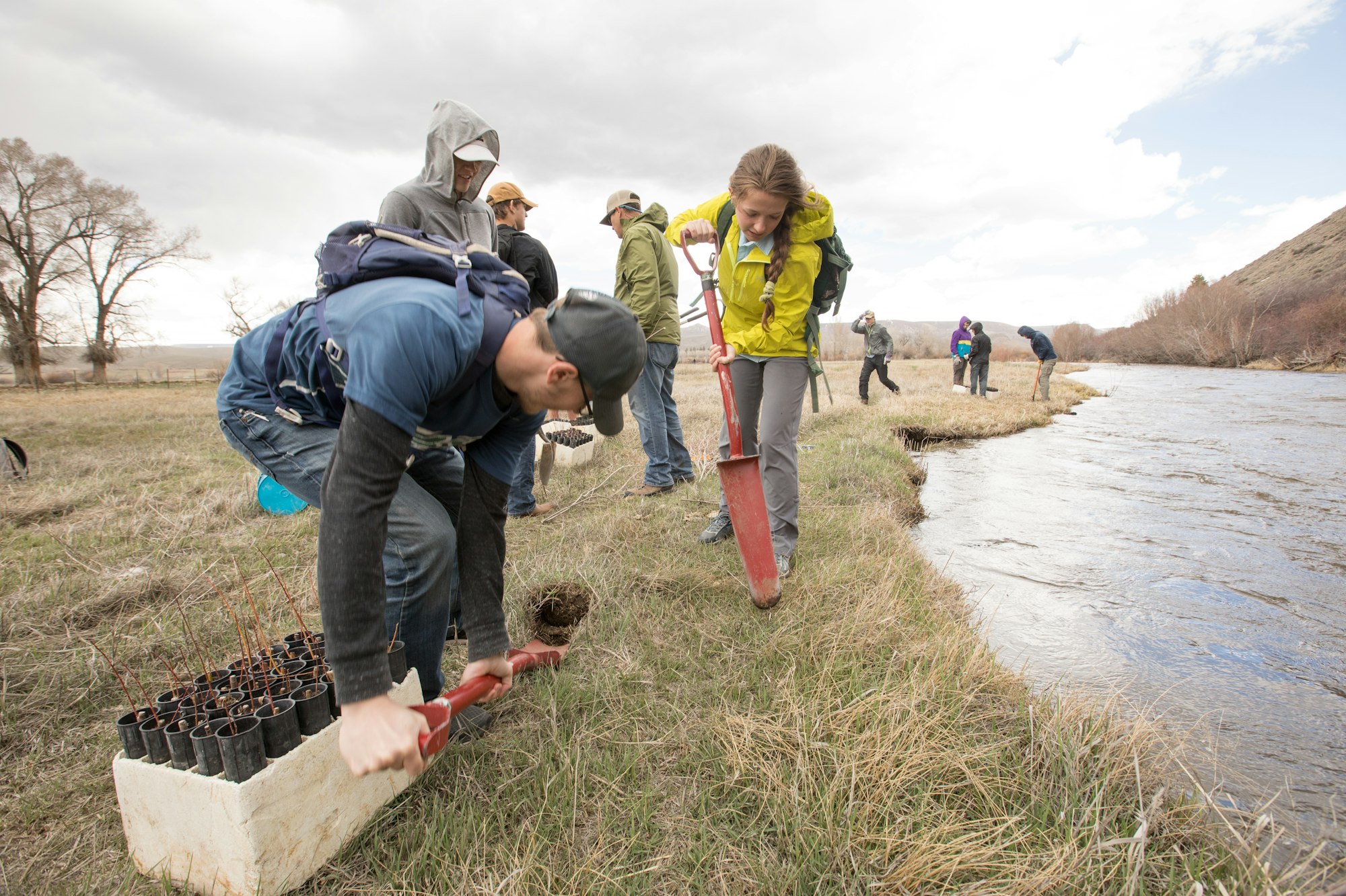 2019 participants plant willow plugs