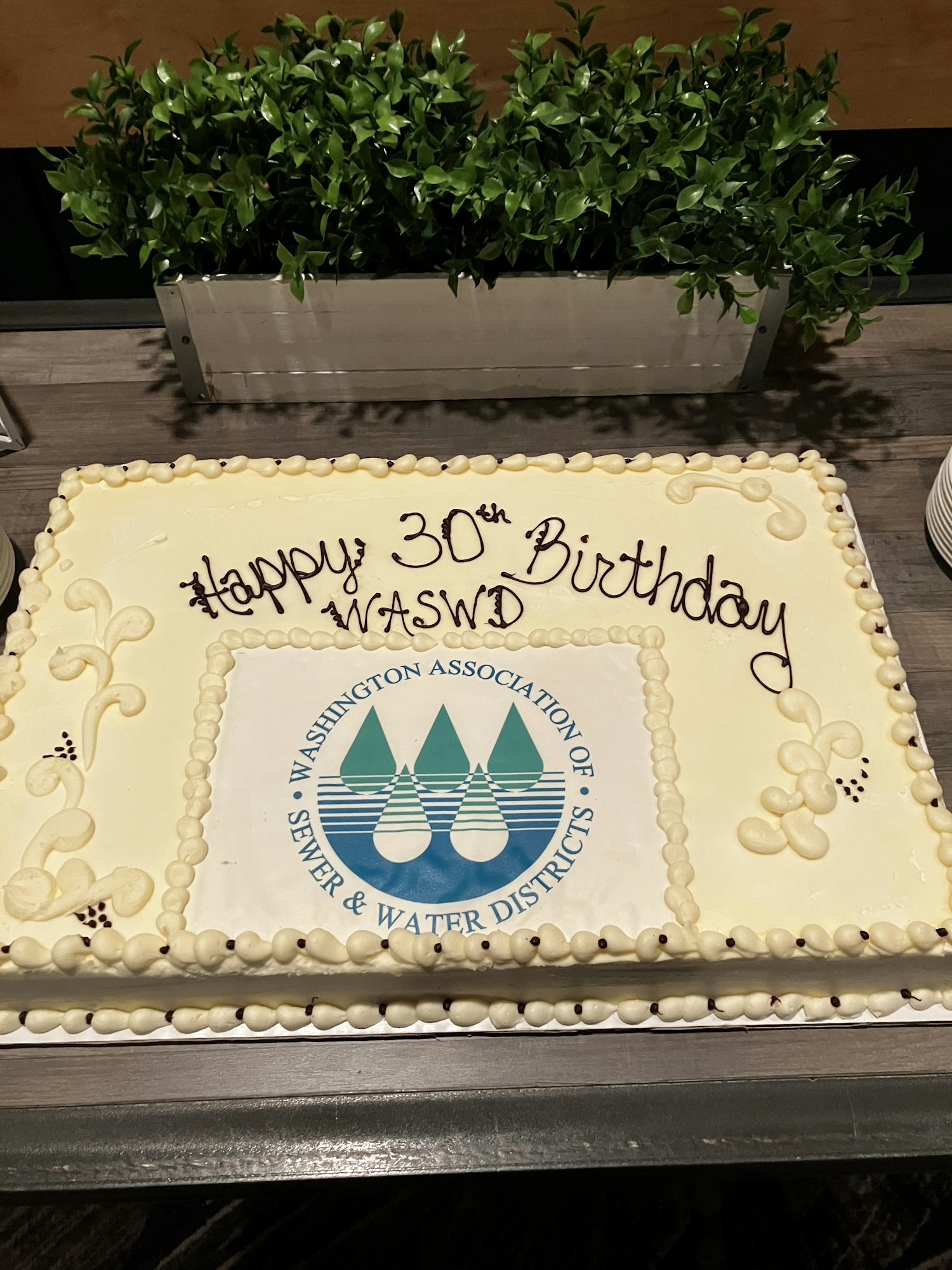 A rectangular cake with "Happy 30th Birthday WASWD" and a logo, placed on a table near a plant.
