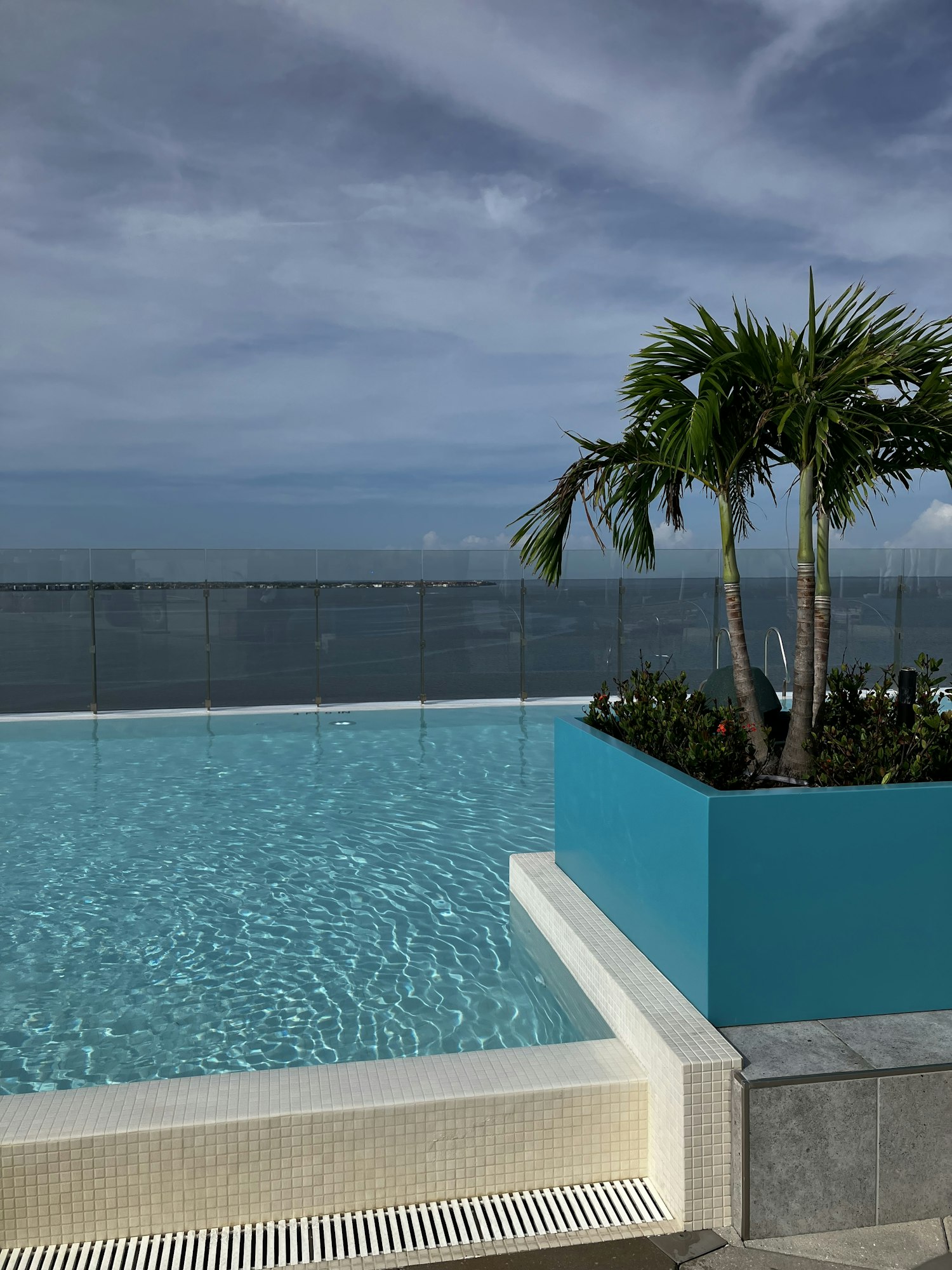 A poolside view with palm trees, overlooking a body of water under a cloudy sky.