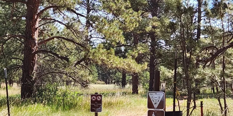 A forested area with sunlight filtering through trees, grassy ground, and several trail signs in the foreground.