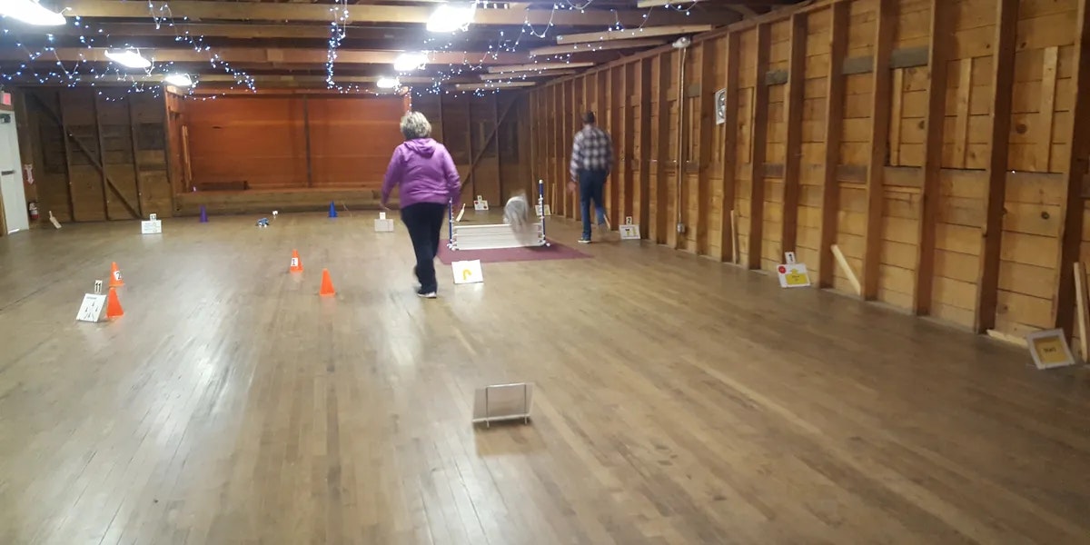 Two people in a hall with a dog, navigating cones and obstacles on a wooden floor.