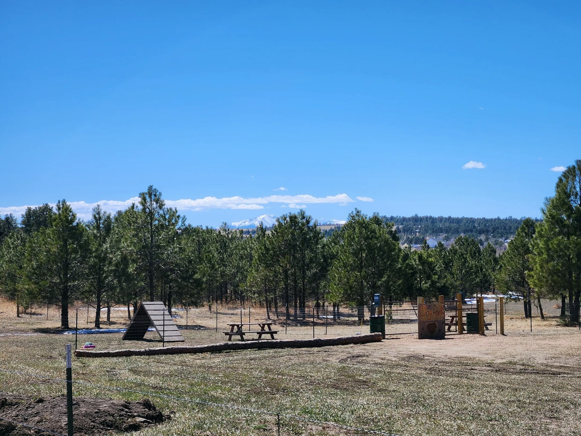 Forest with trees, a clear blue sky, a picnic table, a dog park with agility equipment, and distant mountains.
