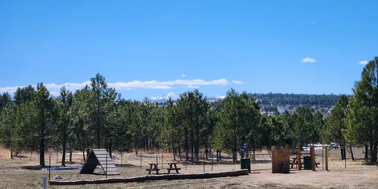 A park scene with trees, picnic tables, a playground structure, and clear blue sky.