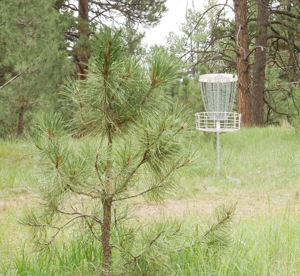 A disc golf basket stands amidst grass and trees in a wooded area.