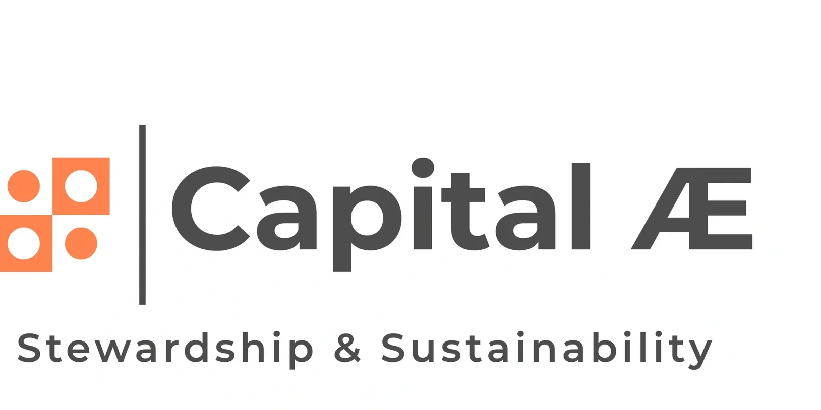 Logo with text: "Capital Æ" and "Stewardship & Sustainability." Orange design on the left.