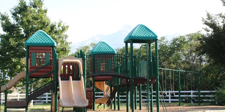 Playground with slides, climbing structures, swings, and trees in the background.
