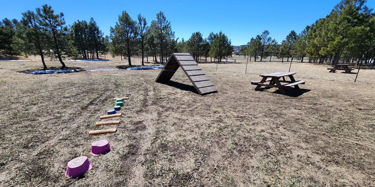 Dog park with agility equipment, picnic tables, and trees under a clear blue sky.