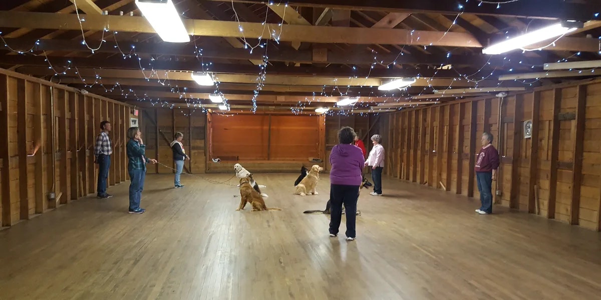 People with dogs in a wooden hall with string lights above, possibly during a training session.