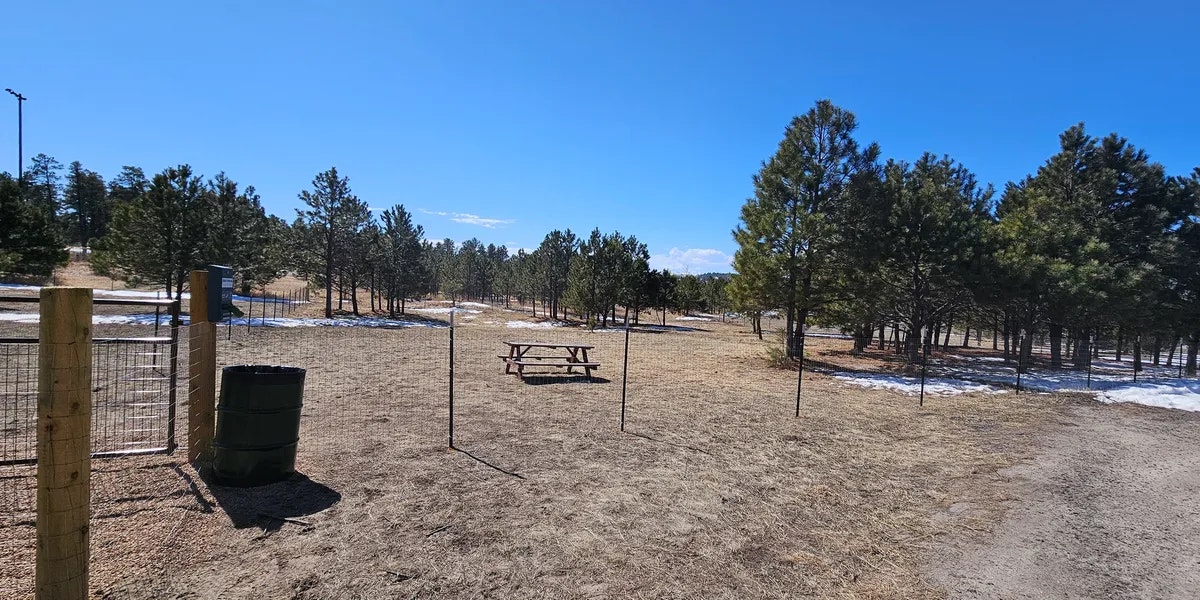Sunny park scene with scattered trees, a picnic table, and a wire fence. Snow patches visible.