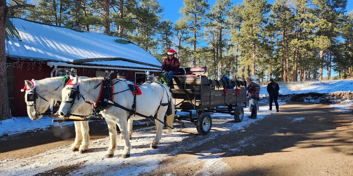Two white horses in festive gear pull a wagon with people, near a snowy cabin in a forest setting.