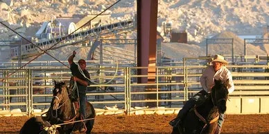 Two people on horseback in a rodeo arena, one swinging a rope, with industrial structures in the background.