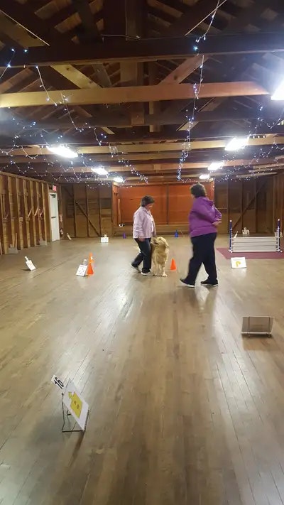 Two people and a dog in a large indoor space with cones and signs, possibly a training session.