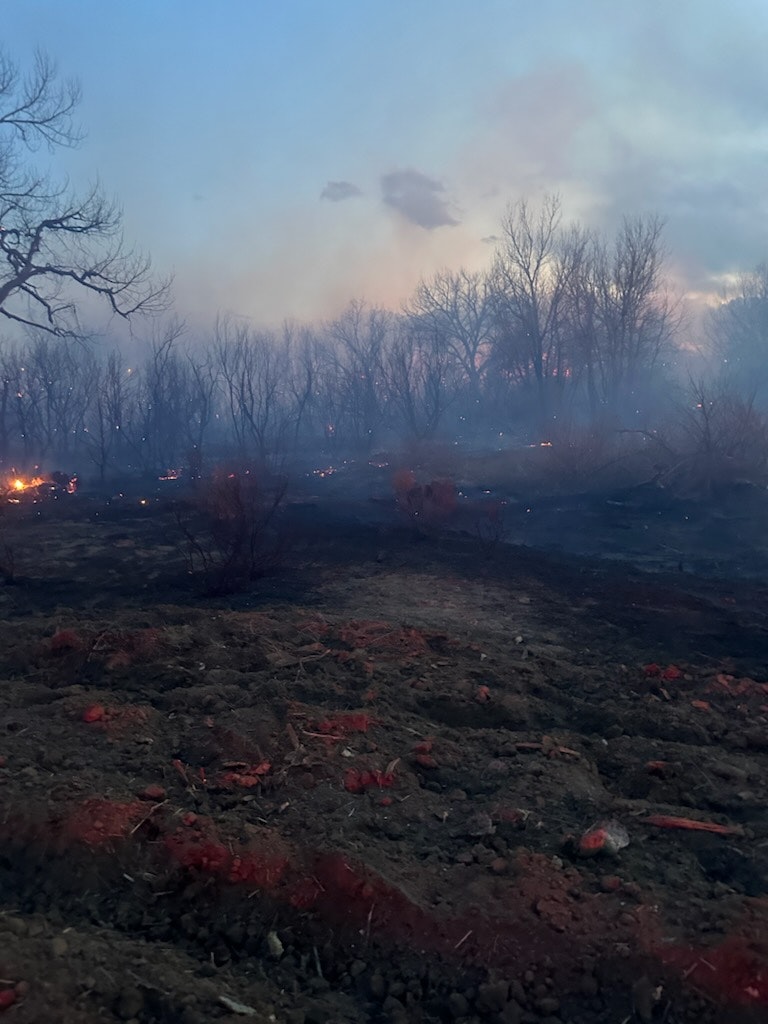 A burnt landscape with smoldering patches, leafless trees, and smoke against a twilight sky.