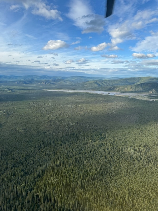 Aerial view of a vast forest with a river winding through the landscape, part of an airplane visible, under a partly cloudy sky.