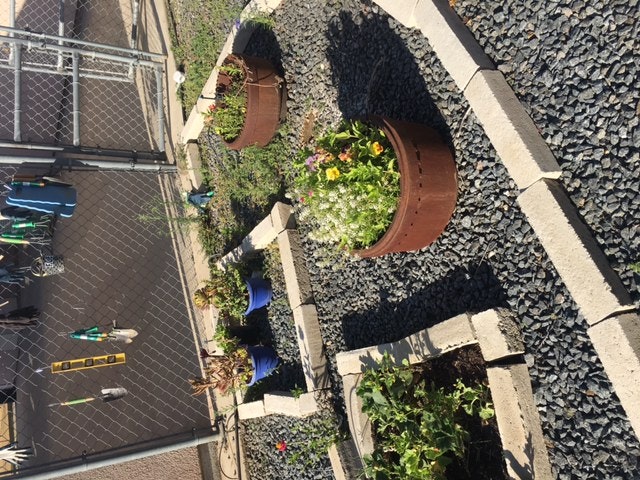 May contain: yard, nature, outdoors, potted plant, jar, vase, pottery, plant, and road