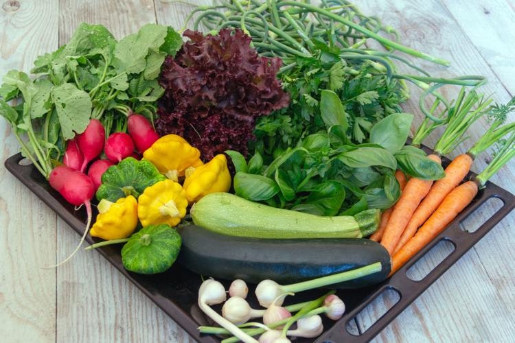 May contain: plant, produce, food, and vegetable