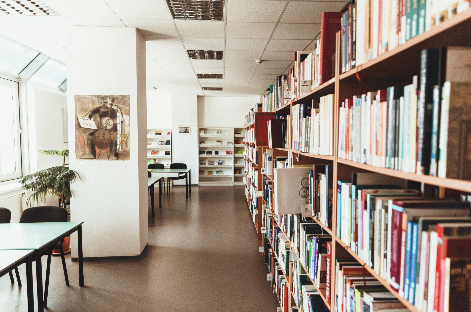 May contain: book, indoors, library, publication, furniture, architecture, building, chair, person, and bookcase