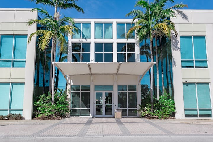 May contain: summer, patio, palm tree, plant, tree, and arecaceae