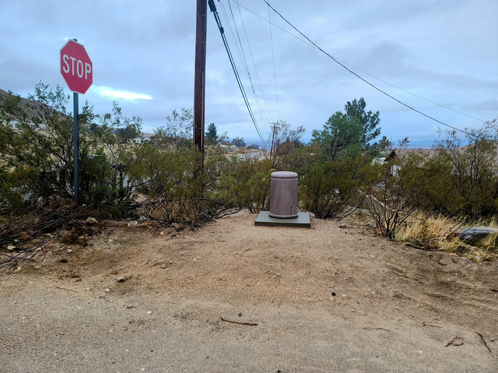 A stop sign, power lines, a transformer, and desert vegetation.