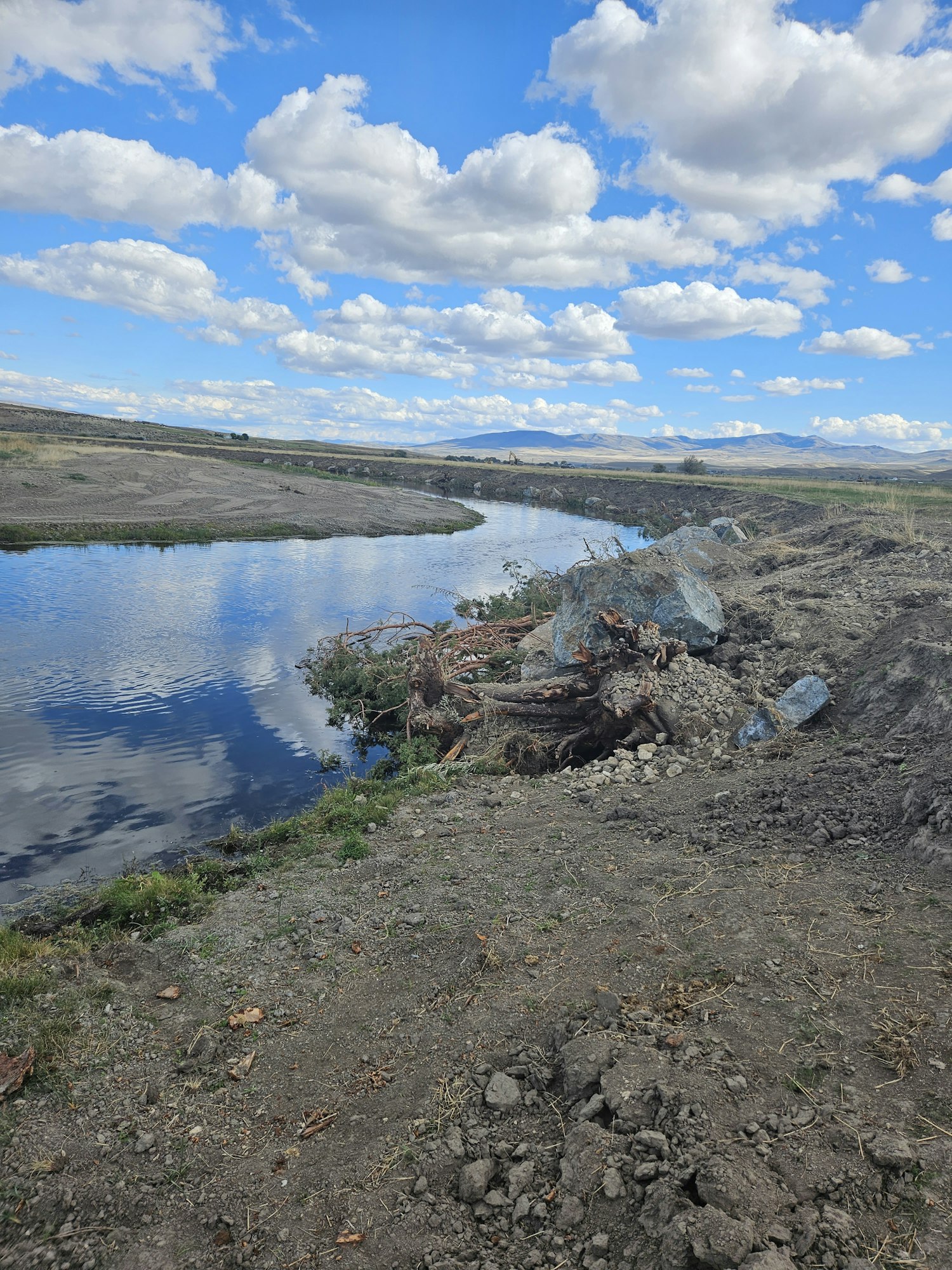 A landscape with a reflective water body, overturned roots of a tree, rocky soil, and cloud-filled sky, rotated 90 degrees.