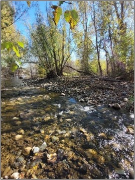 A peaceful riverside scene with clear water, smooth stones, and lush greenery under a bright blue sky.