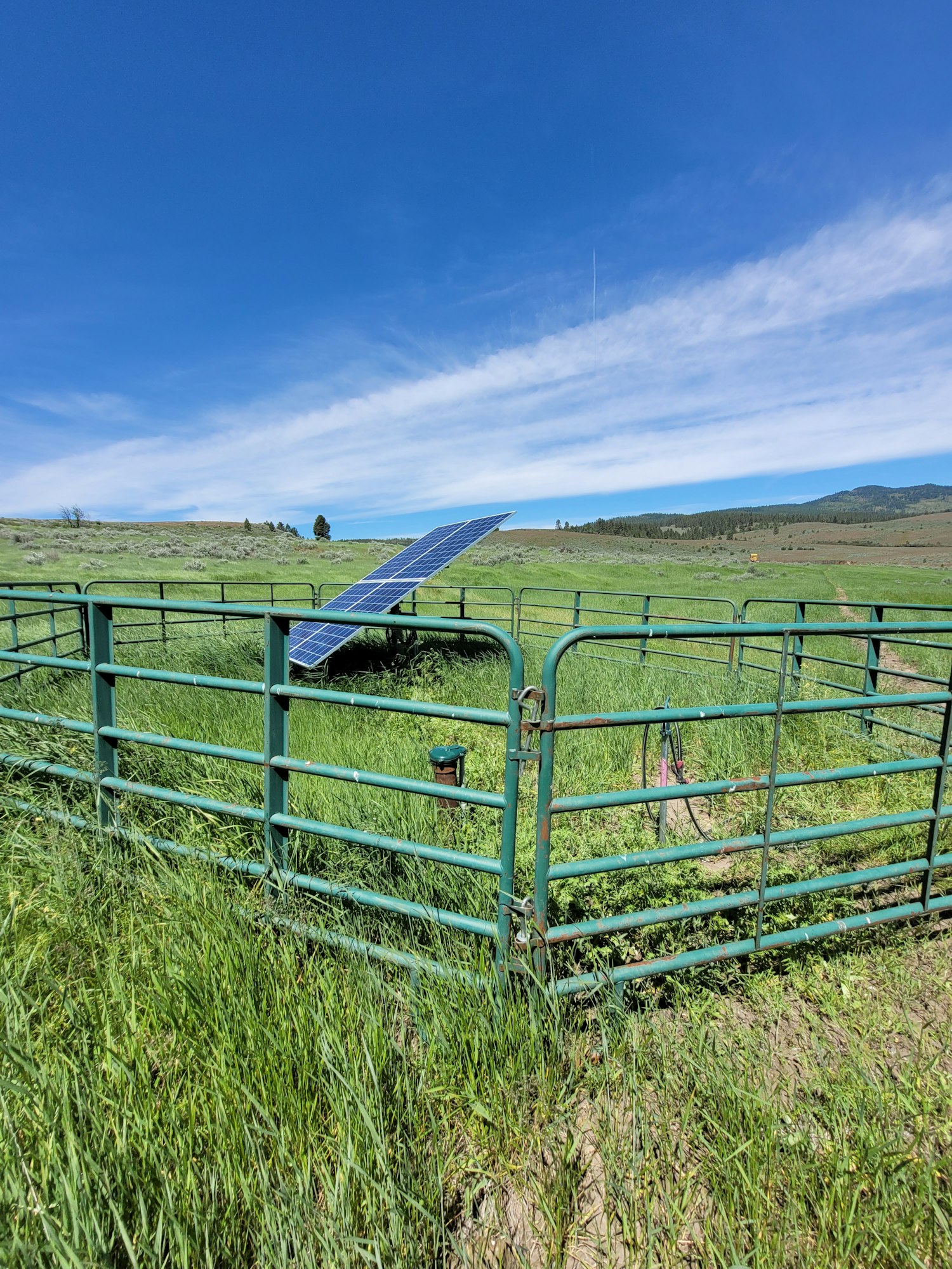 A green fence in a grassy field with a solar panel above, under a clear blue sky with some fluffy clouds.