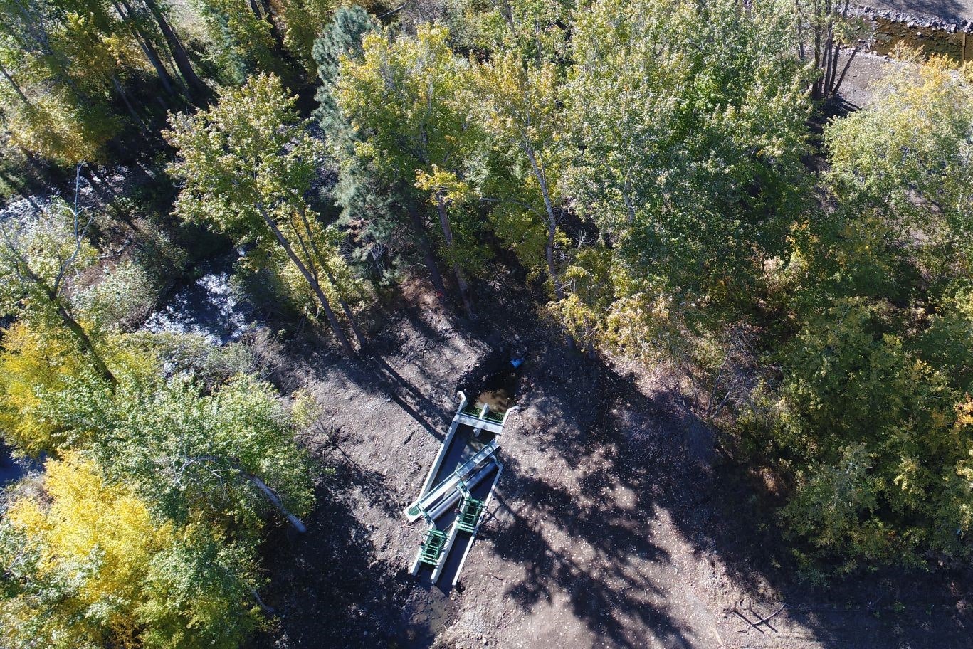 May contain: land, nature, outdoors, plant, tree, vegetation, woodland, grove, grass, park, and aerial view