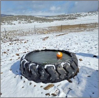 A tire used as a water trough, partially frozen, sits in a snowy landscape with a buoy floating on top.
