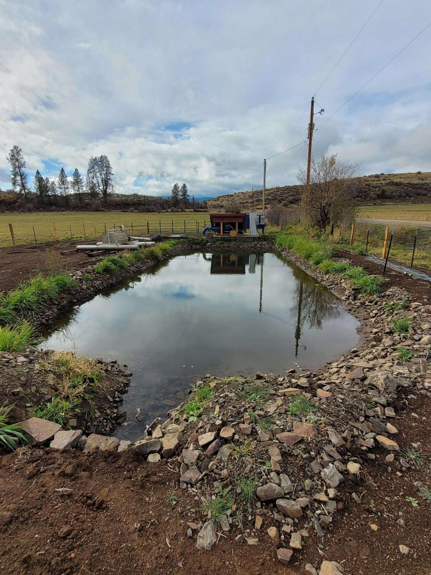 A rotated image showing a reflective pond, grass, a rocky path, power pole, and cloudy sky.