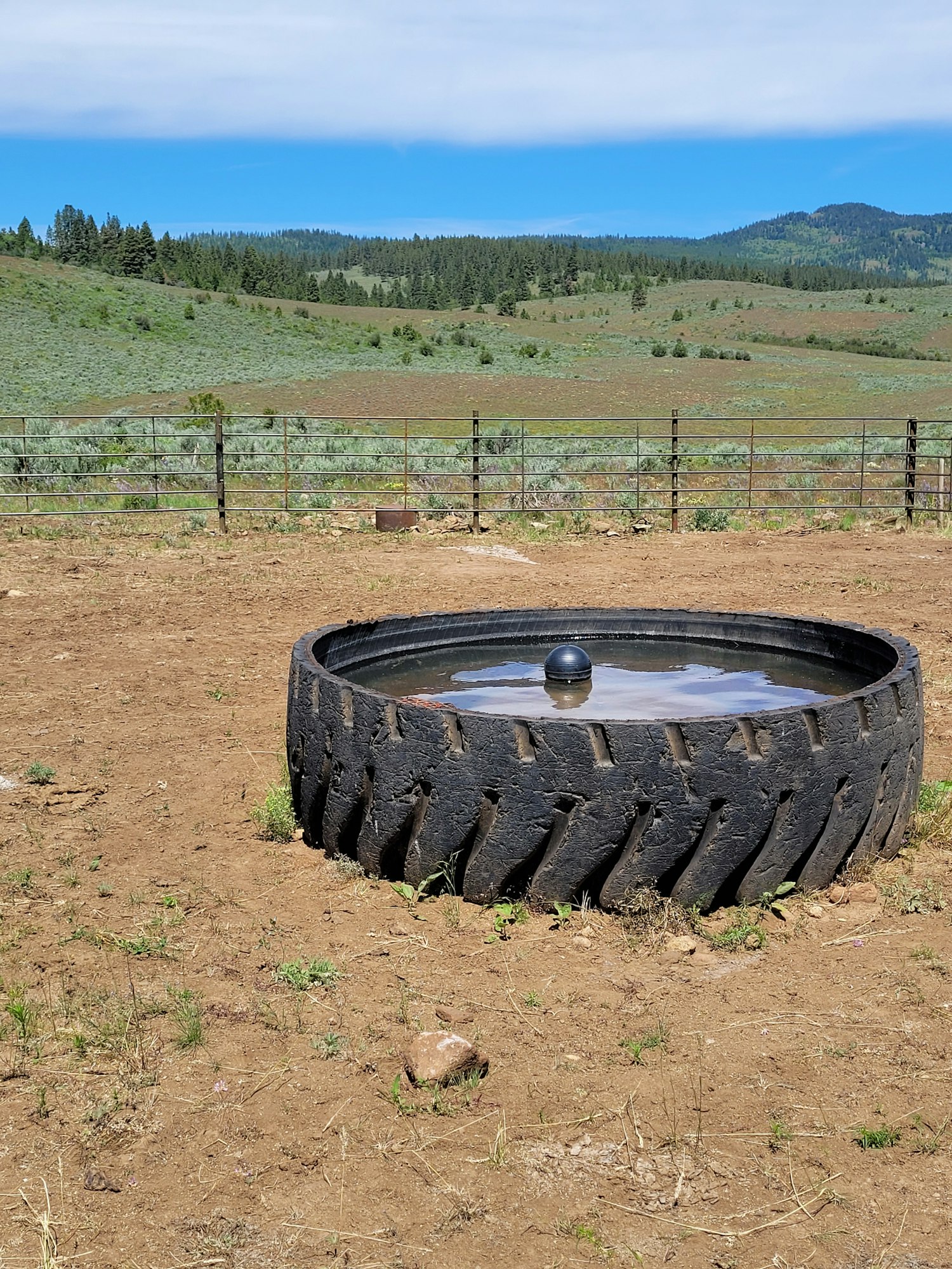 A large tire used as a water trough sits on bare ground, surrounded by greenery and mountains under a clear blue sky.