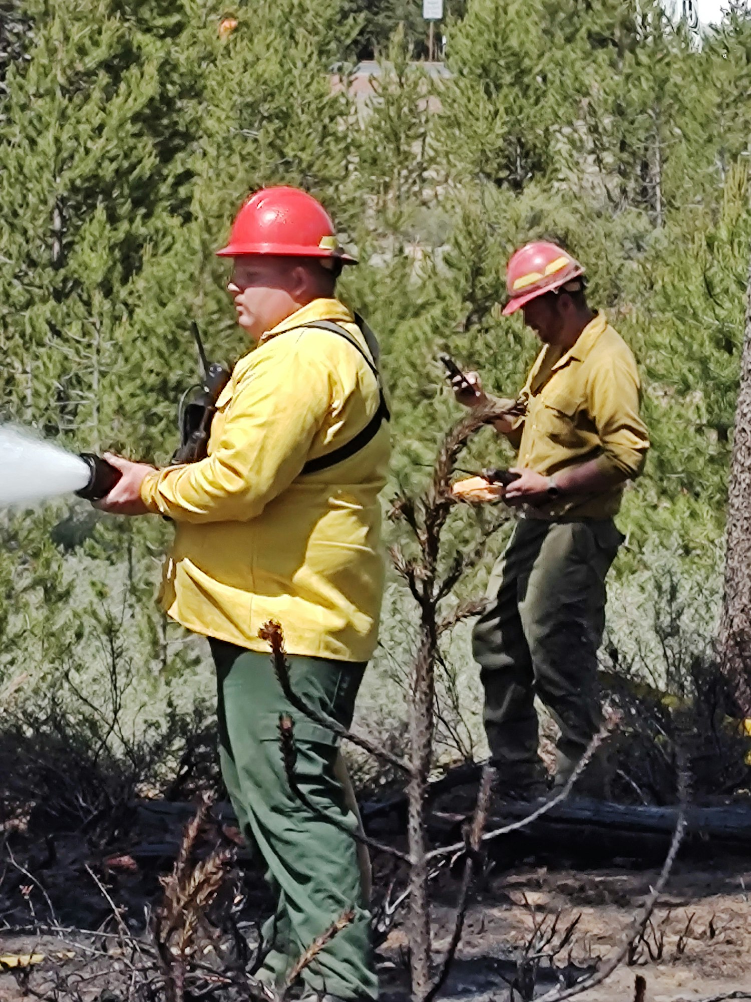 Two firefighters in yellow uniforms and red helmets managing a fire hose in a forested area.
